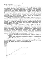 Kapitalo kaupimas ir ekonominis augimas 6 puslapis