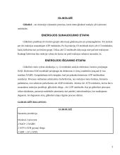 Glikolizės procesas ir aerobinis kvėpavimas 3 puslapis