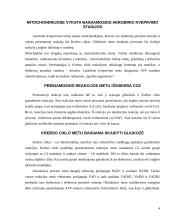 Glikolizės procesas ir aerobinis kvėpavimas 4 puslapis