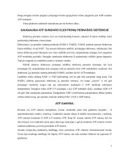 Glikolizės procesas ir aerobinis kvėpavimas 5 puslapis