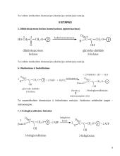 Glikolizės procesas ir aerobinis kvėpavimas 8 puslapis