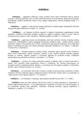 Hodegetika 2 puslapis