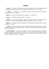 Hodegetika 3 puslapis