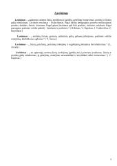 Hodegetika 4 puslapis