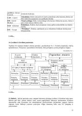Įvedimo išvedimo posistemės 12 puslapis