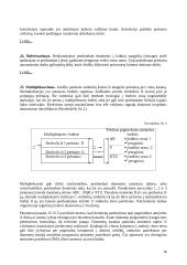 Įvedimo išvedimo posistemės 16 puslapis