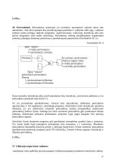 Įvedimo išvedimo posistemės 17 puslapis