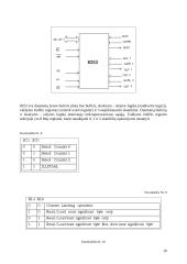 Įvedimo išvedimo posistemės 19 puslapis