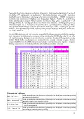Įvedimo išvedimo posistemės 10 puslapis