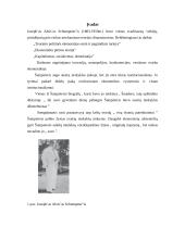 J.A. Šumpeterio (J.A. Schumpeter) ekonominė teorija 3 puslapis