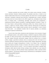 Kovos  su korupcija būdai Lietuvoje 3 puslapis