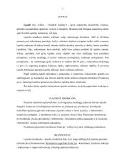 Ląstelės struktūros dalys 2 puslapis