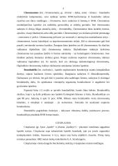 Ląstelės struktūros dalys 3 puslapis