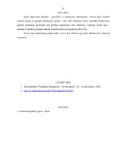 Ląstelės struktūros dalys 8 puslapis