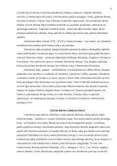 Liberalizmas ir ekonominis liberalizmas: samprata, raidos tendencijos 8 puslapis