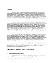 Mobiliųjų duomenų bazių apsauga 3 puslapis