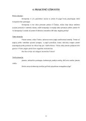 Nenugalima jėga (force majeure) kaip atleidimo nuo sutartinės atsakomybės sąlyga 11 puslapis