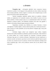 Nenugalima jėga (force majeure) kaip atleidimo nuo sutartinės atsakomybės sąlyga 10 puslapis