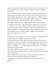 Pirštininės lėlės 5 puslapis
