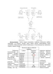 Sacharozės ir gliukozės panaudojimas maisto pramonėje 2 puslapis