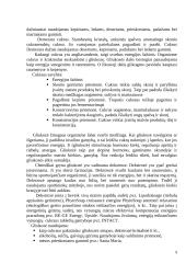 Sacharozės ir gliukozės panaudojimas maisto pramonėje 9 puslapis