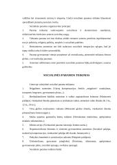 Socialinės paramos priemonės, taikomos Lietuvoje 5 puslapis