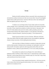 Uždelsto veikimo bomba 3 puslapis