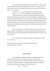 Uždelsto veikimo bomba 7 puslapis