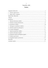 Tiekimo organizavimas, rizikos valdymas 2 puslapis