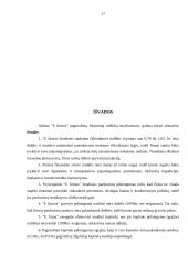 Tiekimo organizavimas, rizikos valdymas 17 puslapis