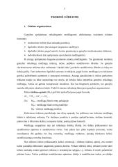 Tiekimo organizavimas, rizikos valdymas 3 puslapis