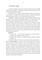 Tiekimo organizavimas, rizikos valdymas 5 puslapis