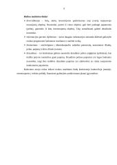 Tiekimo organizavimas, rizikos valdymas 6 puslapis