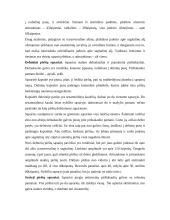 Viršutinių galūnių kaulai ir jų jungtys 18 puslapis