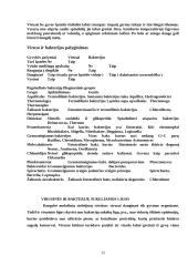 Viskas apie virusus ir bakterijas 12 puslapis