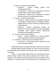 Viskas apie virusus ir bakterijas 10 puslapis