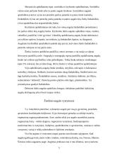 Žiediniams augalams būdinga kartų kaita 5 puslapis