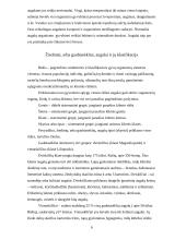 Žiediniams augalams būdinga kartų kaita 6 puslapis