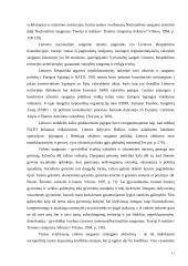 Lietuvos muitinės veiklos administravimas stiprinant nacionalinį saugumą 10 puslapis