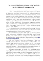 Lietuvos muitinės veiklos administravimas stiprinant nacionalinį saugumą 13 puslapis