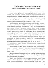 Lietuvos muitinės veiklos administravimas stiprinant nacionalinį saugumą 16 puslapis