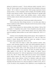 Lietuvos muitinės veiklos administravimas stiprinant nacionalinį saugumą 17 puslapis