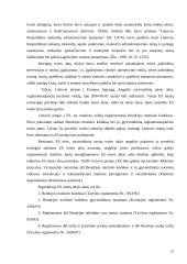 Lietuvos muitinės veiklos administravimas stiprinant nacionalinį saugumą 18 puslapis