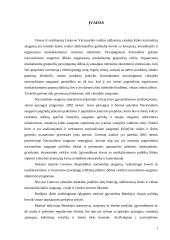 Lietuvos muitinės veiklos administravimas stiprinant nacionalinį saugumą 2 puslapis