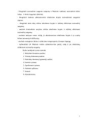 Lietuvos muitinės veiklos administravimas stiprinant nacionalinį saugumą 4 puslapis