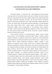 Lietuvos muitinės veiklos administravimas stiprinant nacionalinį saugumą 5 puslapis