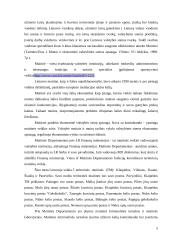 Lietuvos muitinės veiklos administravimas stiprinant nacionalinį saugumą 7 puslapis