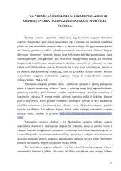 Lietuvos muitinės veiklos administravimas stiprinant nacionalinį saugumą 9 puslapis