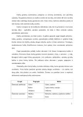  Kailiai ir jų gaminiai 2 puslapis