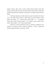  Kailiai ir jų gaminiai 11 puslapis